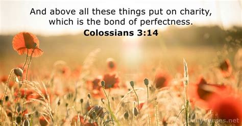 colossians 3:14 kjv|Colossians 3:14 KJV 1900 .